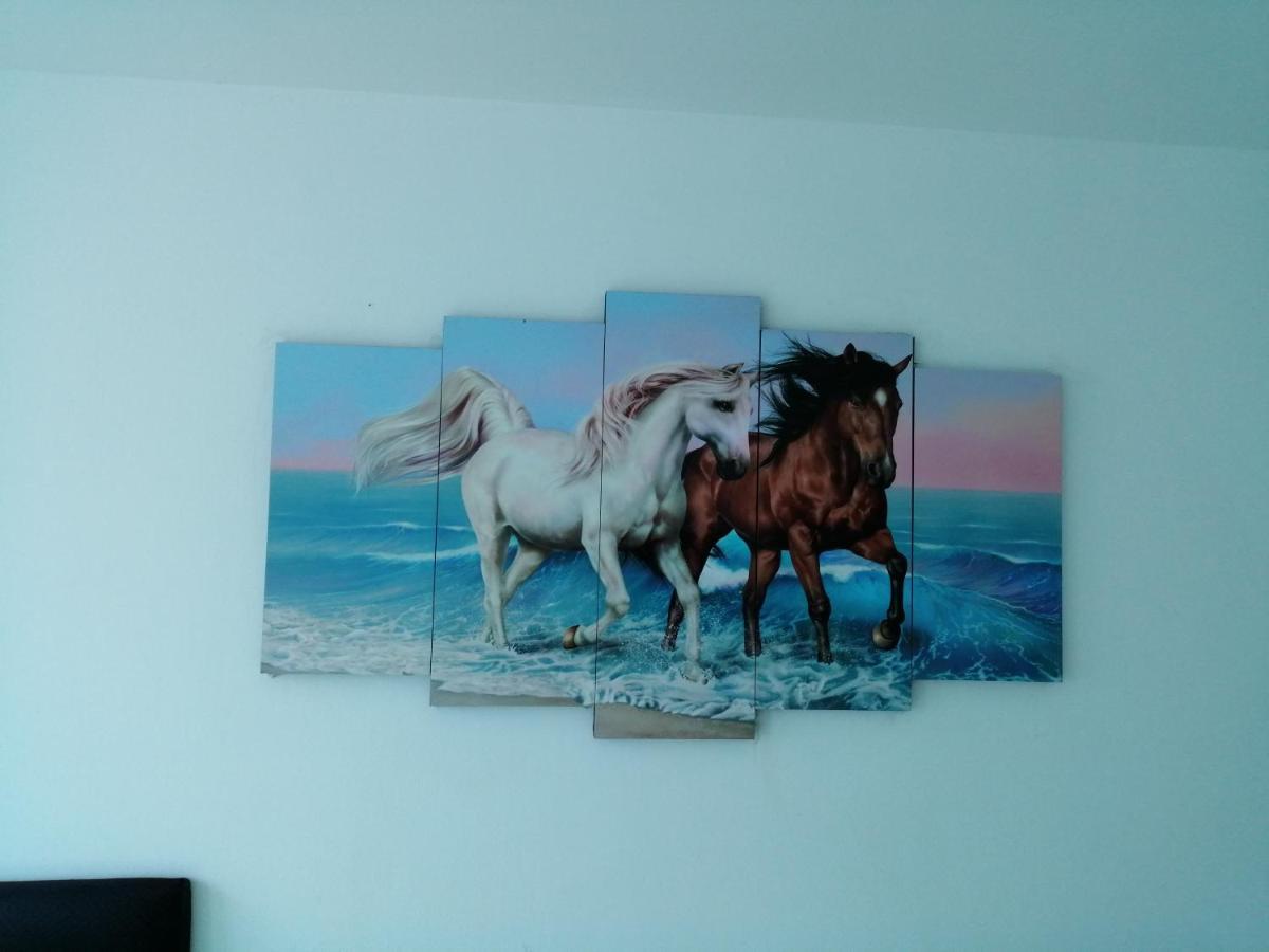 Appartement Sotavento Cartagène